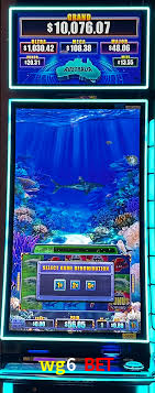 Jogo Aviator wg6 bet